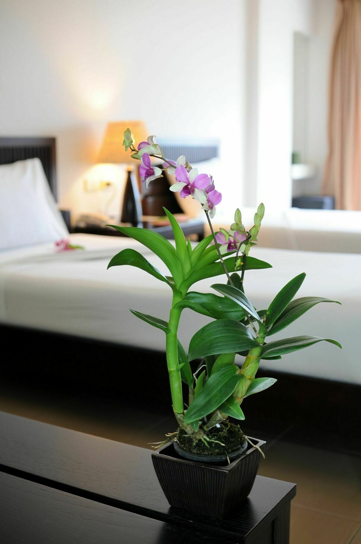 Kasemsarn Hotel Chanthaburi Eksteriør bilde